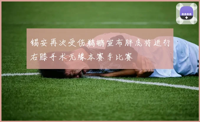 锡安再次受伤鹈鹕宣布胖虎将进行右膝手术无缘本赛季比赛
