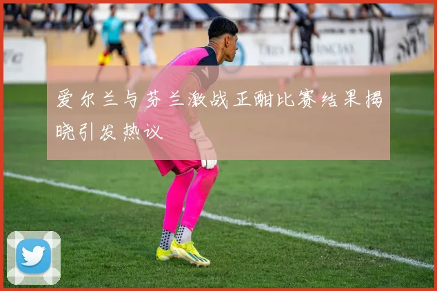 爱尔兰与芬兰激战正酣比赛结果揭晓引发热议