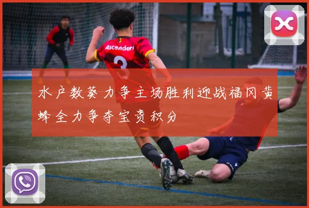 水户数葵力争主场胜利迎战福冈黄蜂全力争夺宝贵积分