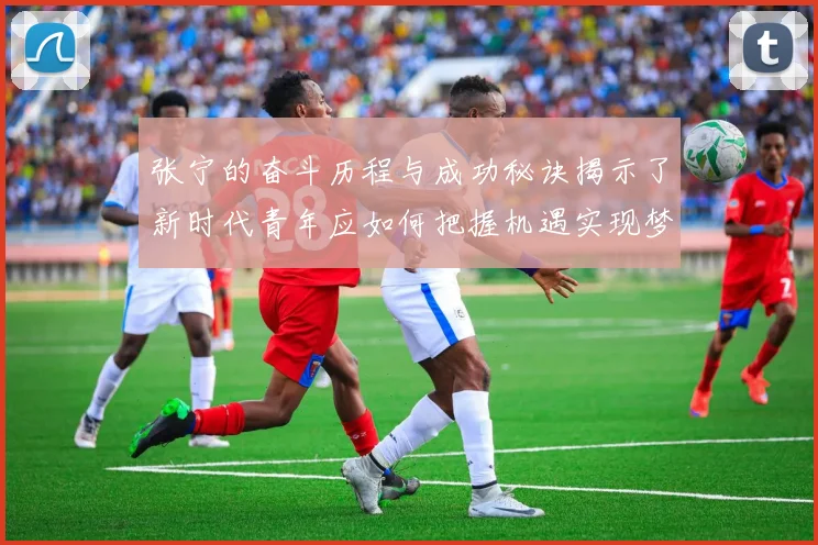张宁的奋斗历程与成功秘诀揭示了新时代青年应如何把握机遇实现梦想